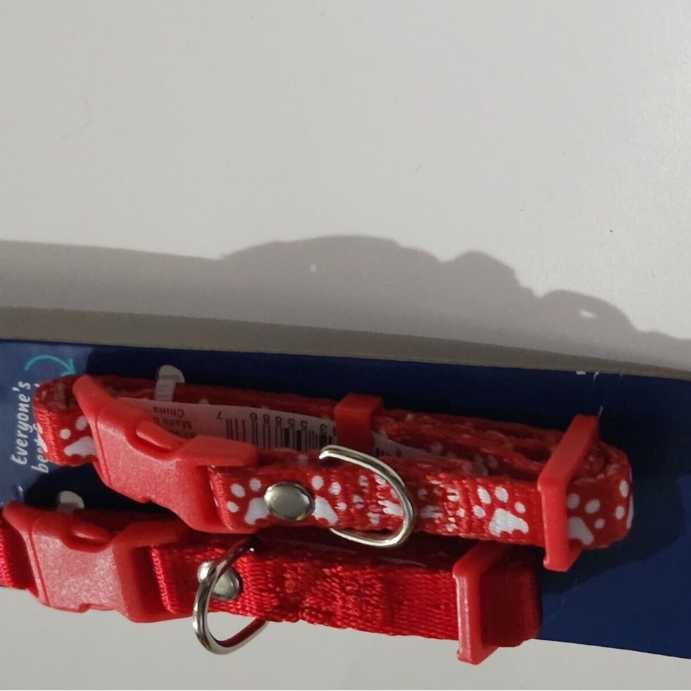 Youly est. 2020 You Bet You “The Artist, The Charismatic “Dog Collar.